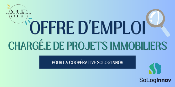 Minitarure site - offre d'emploi Sologinnov